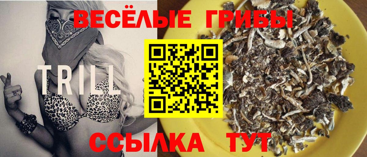 Кольчугино  Галлюциногенные грибы Psilocybine cubensis  Вход с VPN  Псилоцибиновые грибы ЛСД 